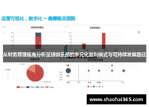 从财务管理视角分析足球俱乐部的多元化盈利模式与可持续发展路径 从财务管理视角分析足球俱乐部的多元化盈利模式与可持续发展路径