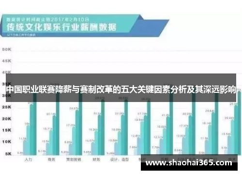 中国职业联赛降薪与赛制改革的五大关键因素分析及其深远影响 中国职业联赛降薪与赛制改革的五大关键因素分析及其深远影响