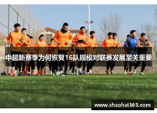 中超新赛季为何恢复16队规模对联赛发展至关重要 中超新赛季为何恢复16队规模对联赛发展至关重要