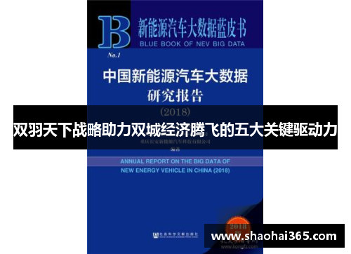 双羽天下战略助力双城经济腾飞的五大关键驱动力 双羽天下战略助力双城经济腾飞的五大关键驱动力