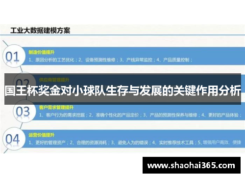 国王杯奖金对小球队生存与发展的关键作用分析 国王杯奖金对小球队生存与发展的关键作用分析