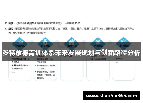 多特蒙德青训体系未来发展规划与创新路径分析 多特蒙德青训体系未来发展规划与创新路径分析