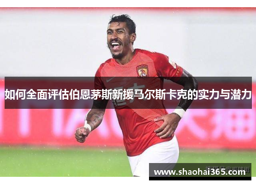 如何全面评估伯恩茅斯新援马尔斯卡克的实力与潜力