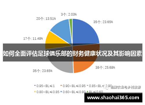 如何全面评估足球俱乐部的财务健康状况及其影响因素