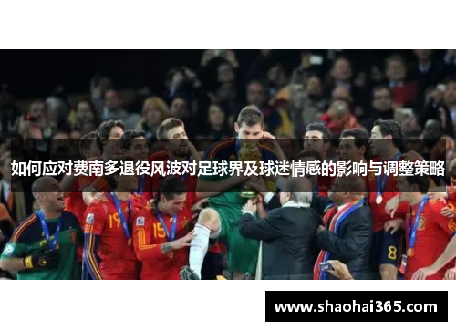 如何应对费南多退役风波对足球界及球迷情感的影响与调整策略