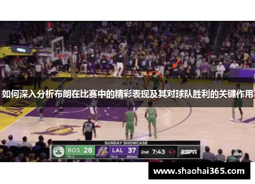 如何深入分析布朗在比赛中的精彩表现及其对球队胜利的关键作用