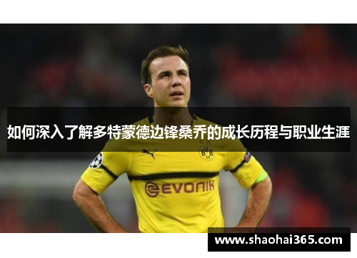 如何深入了解多特蒙德边锋桑乔的成长历程与职业生涯
