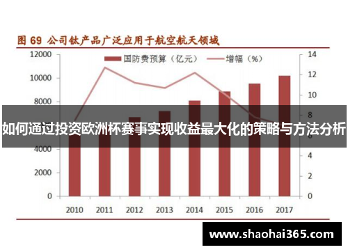 如何通过投资欧洲杯赛事实现收益最大化的策略与方法分析